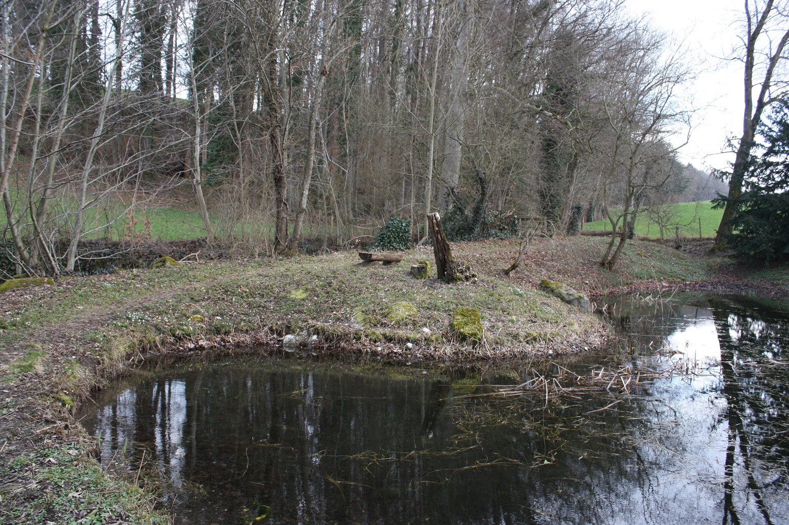 Verkehrsverein Fahrwangen - Lochrain (Wangehölzli) (DDT)