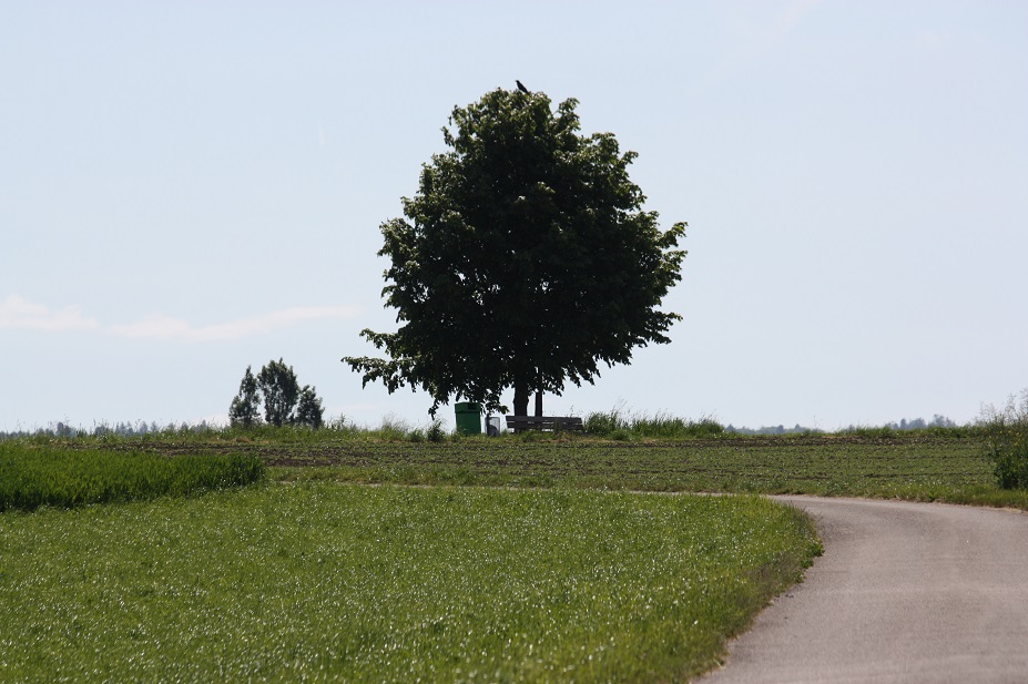 19.05.2025
