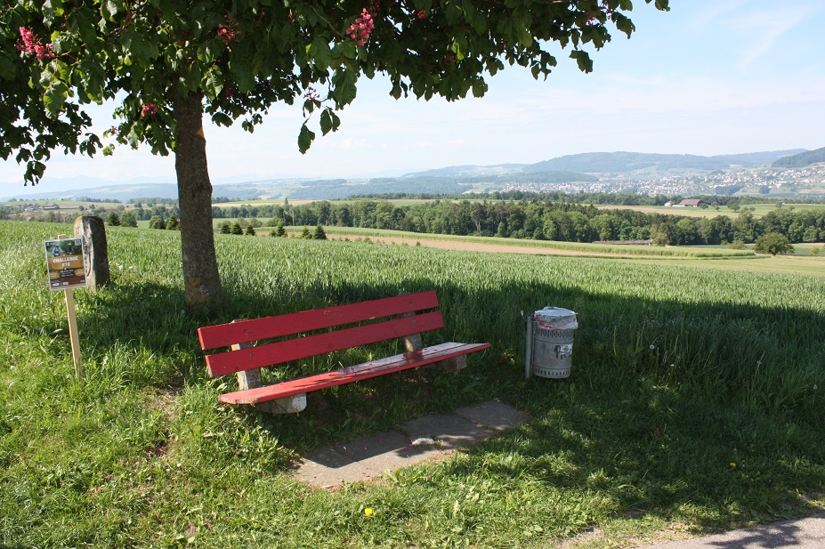Verkehrsverein Fahrwangen - Alte Bettwilerstrasse (DDT)