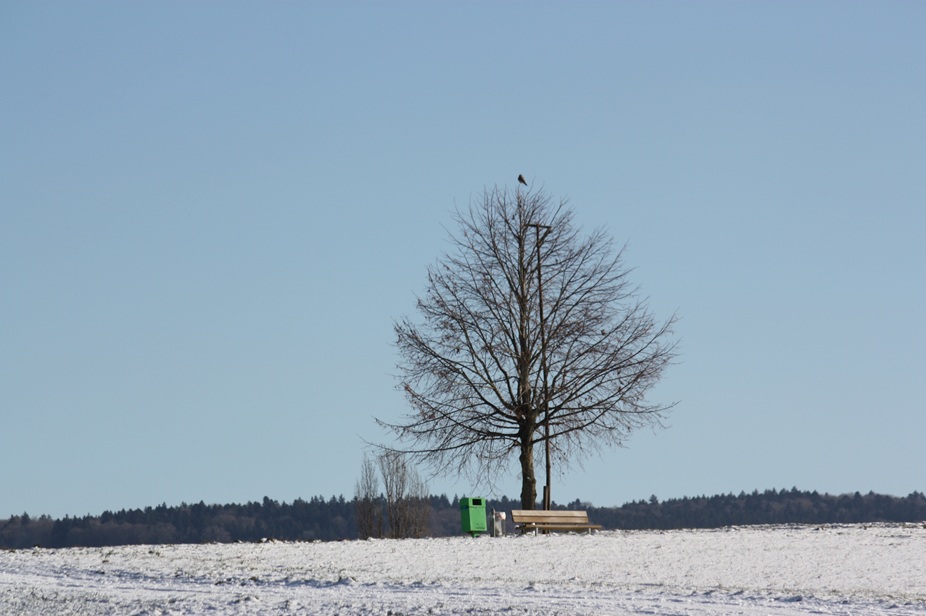 Verkersverein Fahrwangen - Hungerbühl (Grüzenberg)