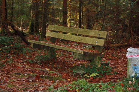 Verkehrsverein Fahrwangen - Im Flurenwald (DDT)
