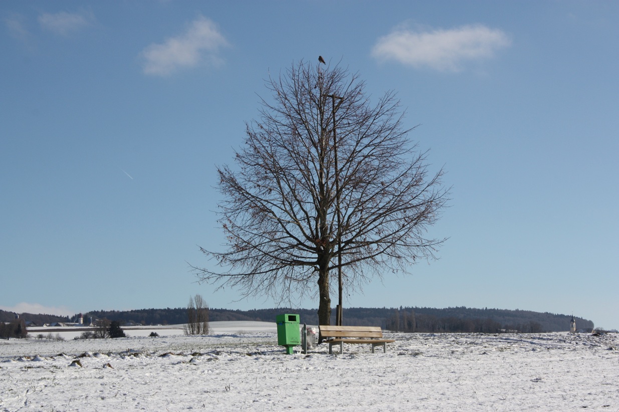 Verkersverein Fahrwangen - Hungerbühl (Grüzenberg)