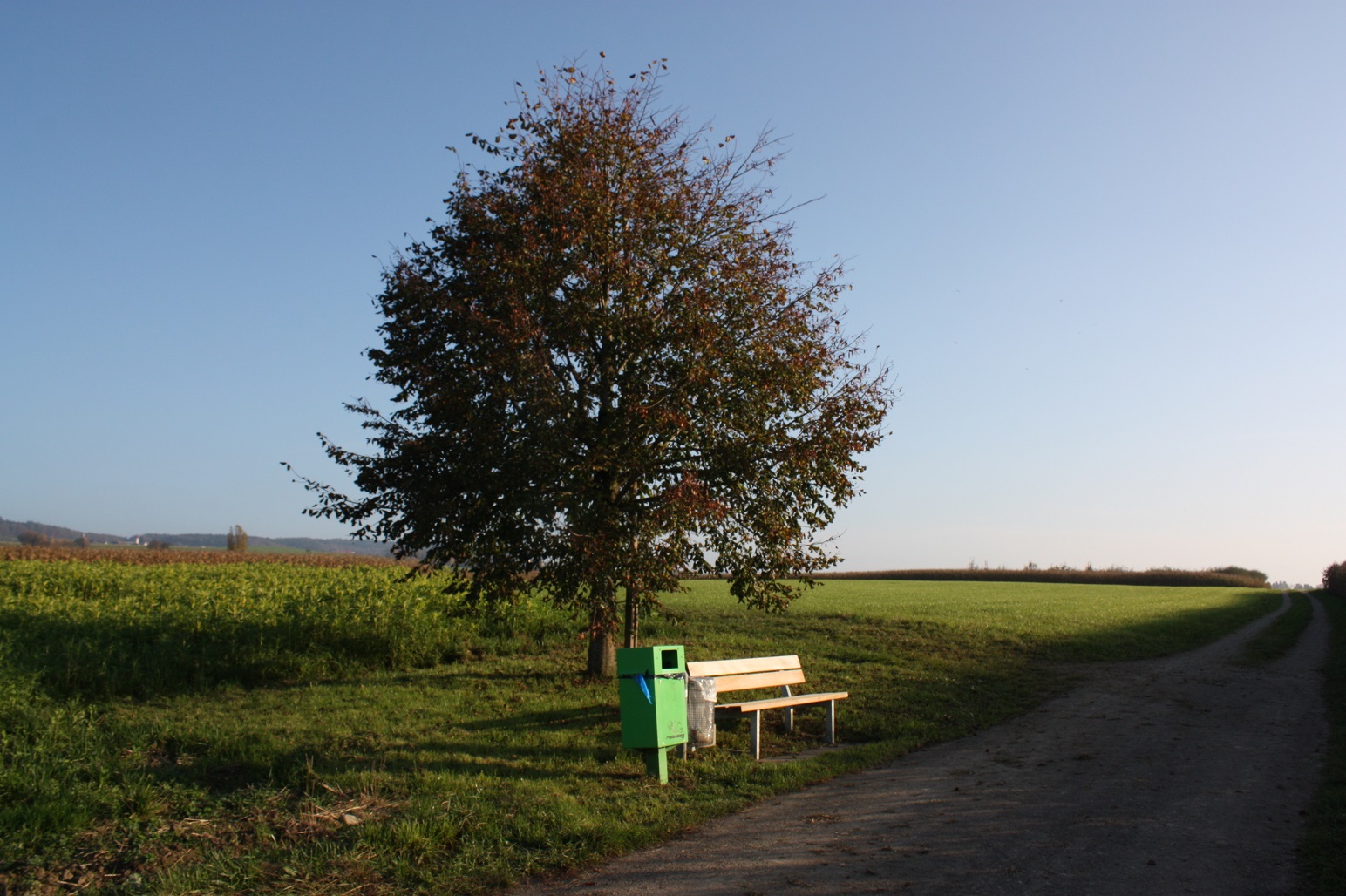 Verkersverein Fahrwangen - Hungerbühl (Grüzenberg)