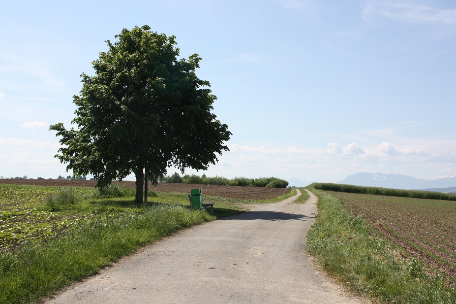 Verkersverein Fahrwangen - Hungerbühl (Grüzenberg)