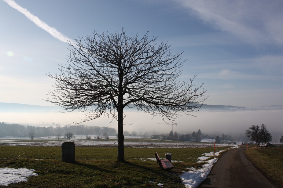 Verkehrsverein Fahrwangen - Alte Bettwilerstrasse (DDT)