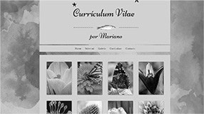 curriculum
