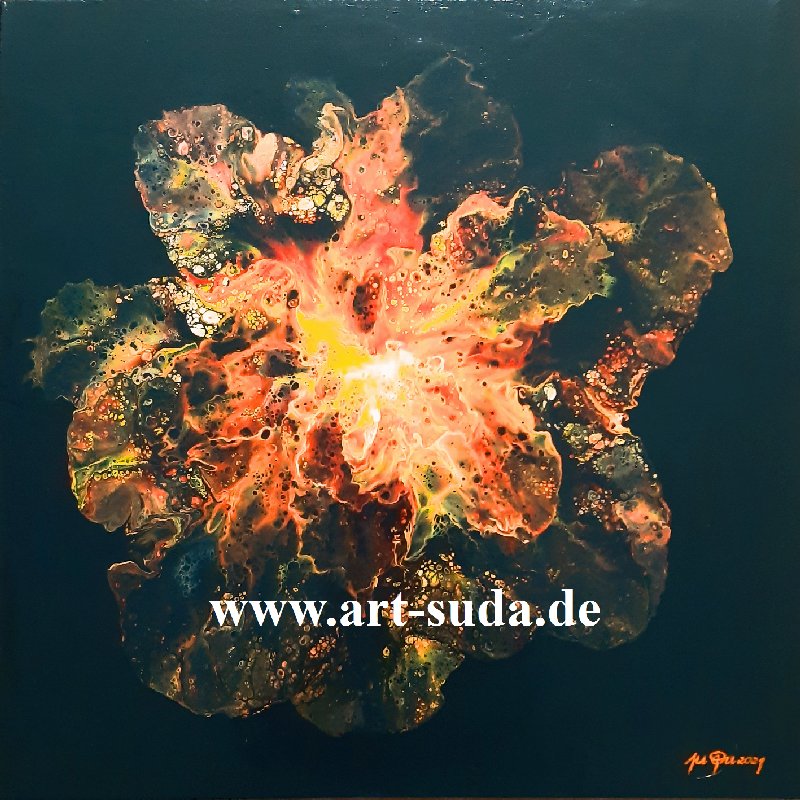 Wüstenrose  50 x 50