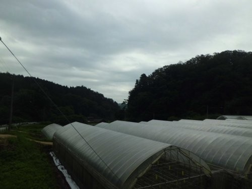 高温!の次は、台風からの曇天・・