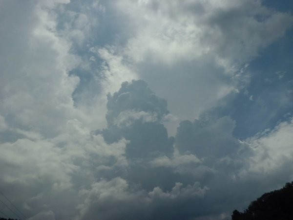 急に湧く積乱雲、雷鳴、ハウスにて