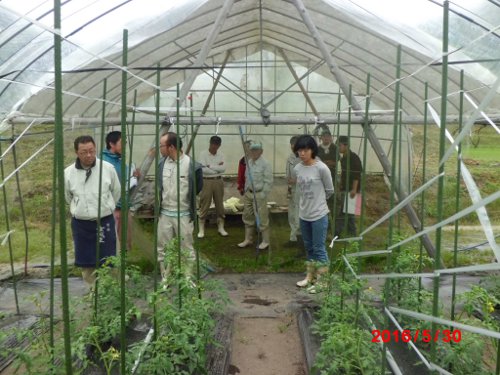 みんなで、見回ります　これは、石川農園