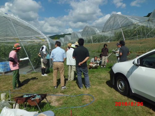 川上君の圃場にて