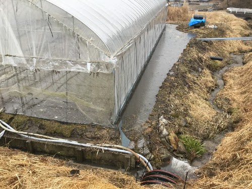 Cブロック 湛水代掻き