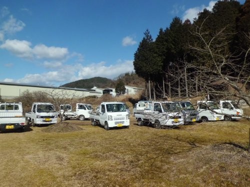 朝から軽トラが集まってきましたよ~