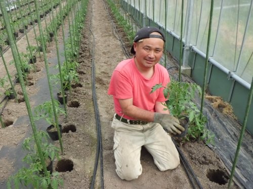 定植の様子