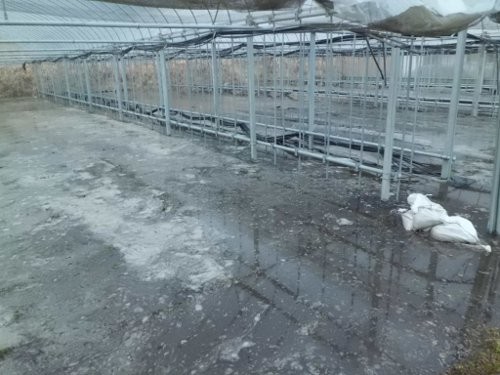 Aブロック、湛水後、代掻きしたあと