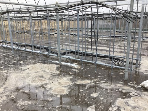 Aブロック湛水代掻き