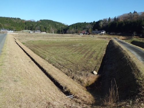 岩村町の水田、ここに新規就農者が一軒、入る予定です