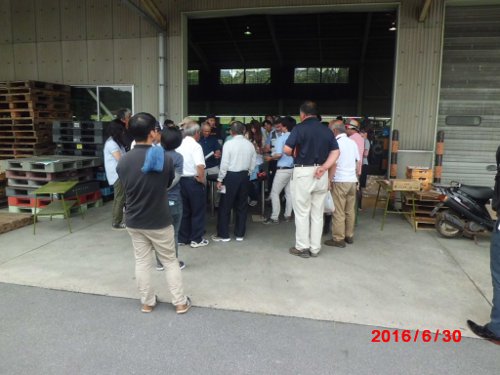 麗果目揃え会