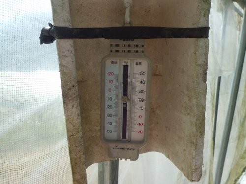 もう30度超え・・