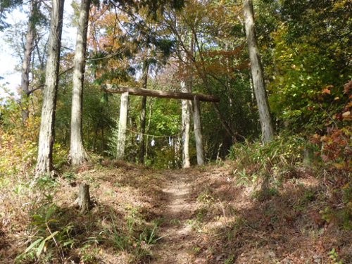 朽ちかけた、鳥居