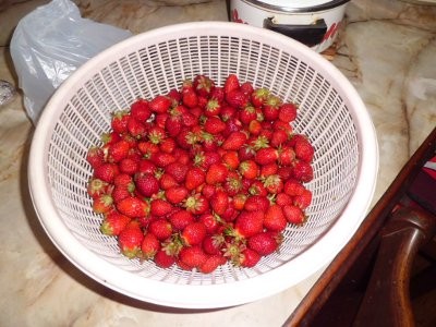 自家栽培イチゴ
