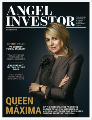 Interview: Angel investor Review - How does Balldesigner integrate innovation into products?