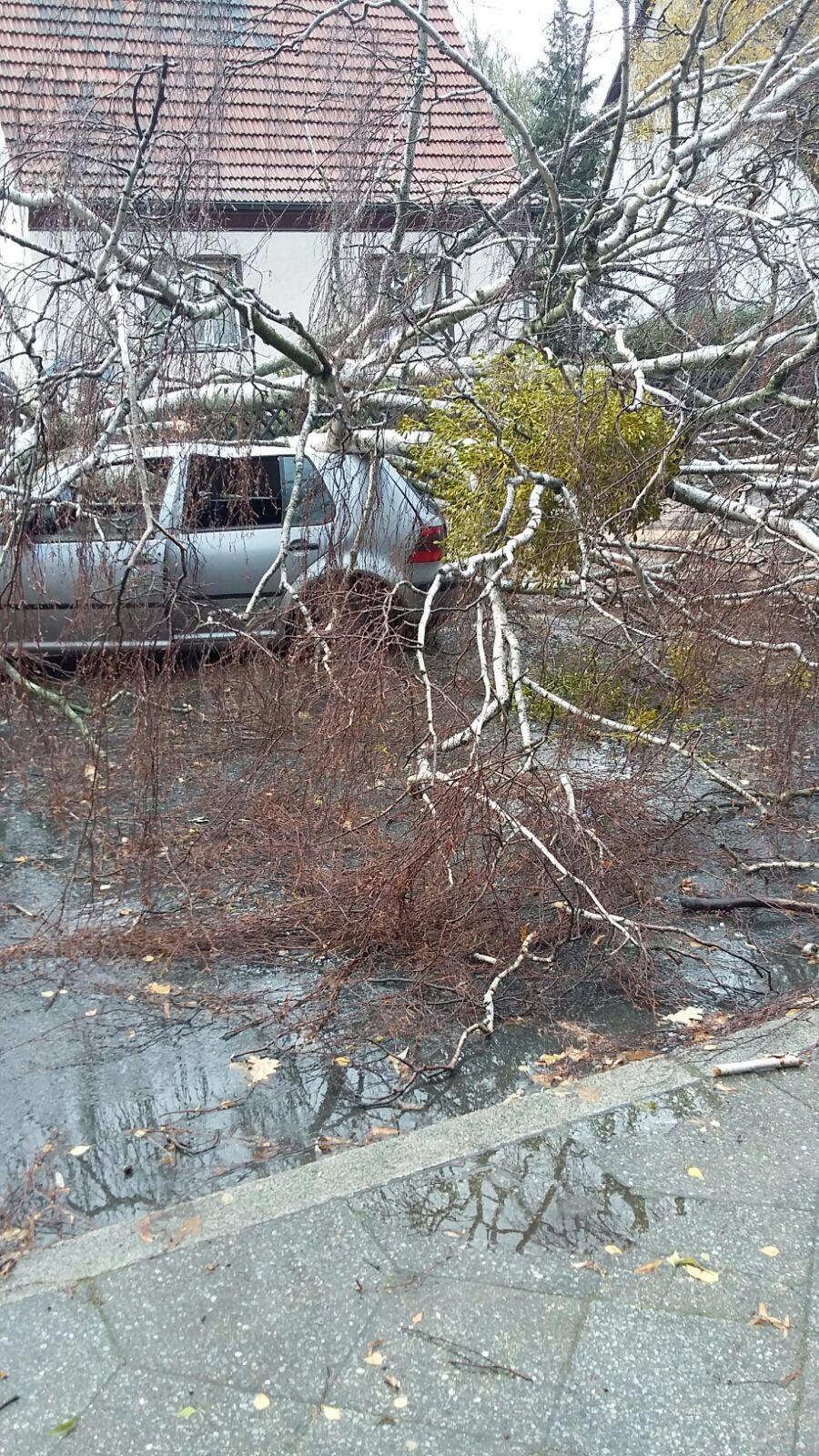 Fahrzeug: VW Golf 1.9 TDI, Totalschaden durch Baumfall während der Fahrt, Fahrer blieb unverletzt, Foto am Unfallort