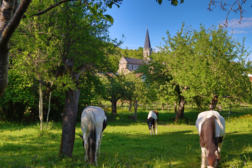 Blick auf den Frankendom bei schönem Maiwetter.