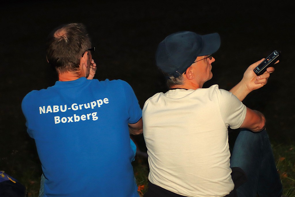 Auch Breitflügelfledermäuse konnten vereinzelt beobachtet werden.
