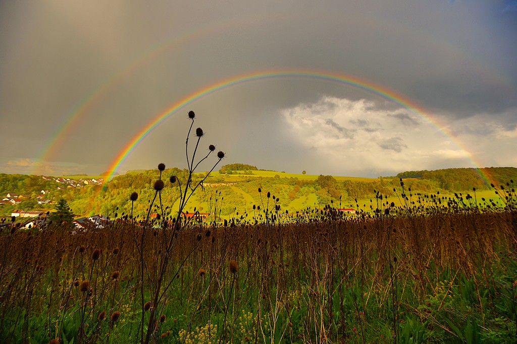 Die Natur ist einfach wunderschön!