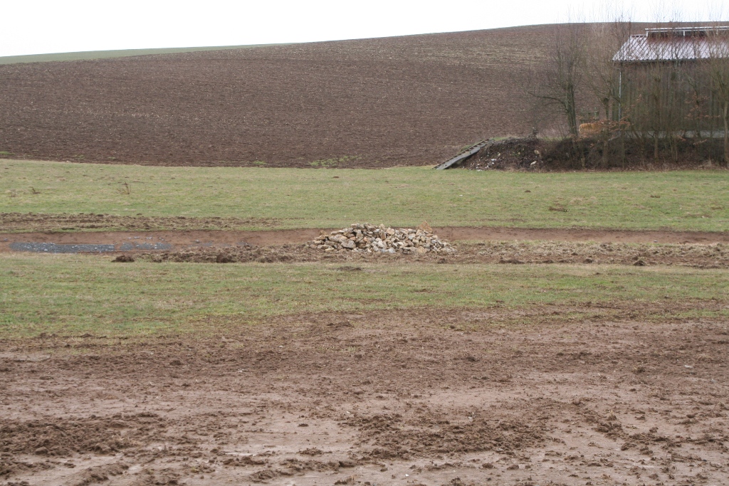 Steinhaufen mit Feldlesesteinen geben der Landschaft Struktur und bieten insbesondere Reptilien einen Lebensraum.