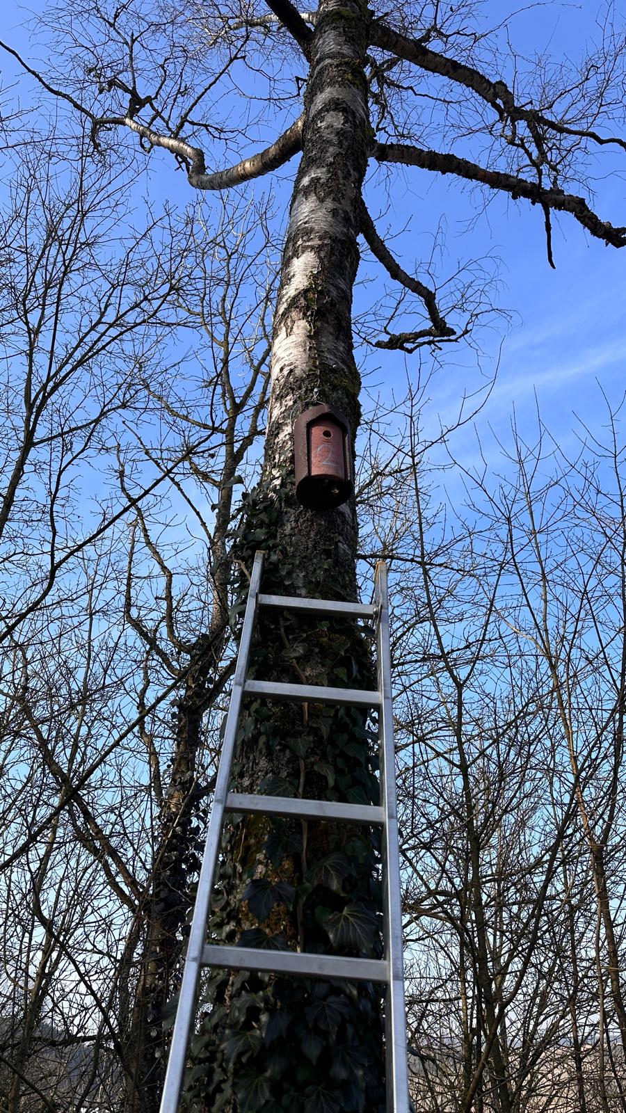 Nistkästen aus Holzbeton sind besonders langlebig.