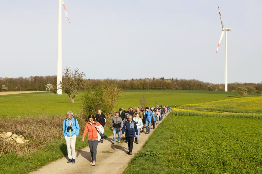 Klimawende mit "grünem Strom" und der Artenschutz wurden gegenübergestellt.