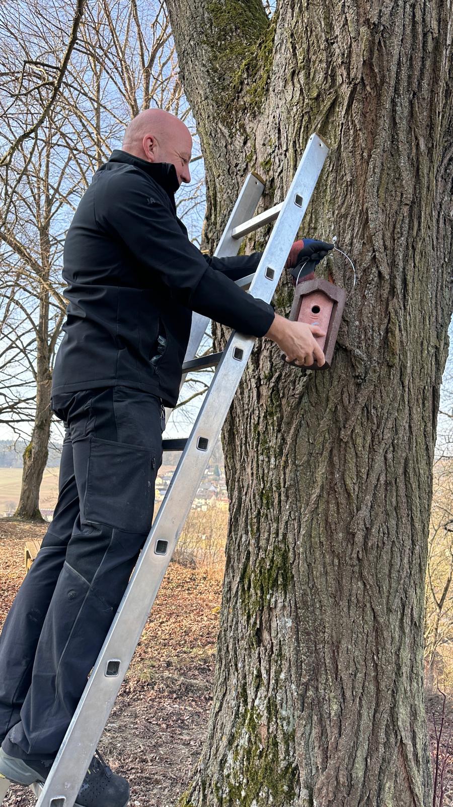 Steffen Adelmann bei der Montage eines Nistkastens.