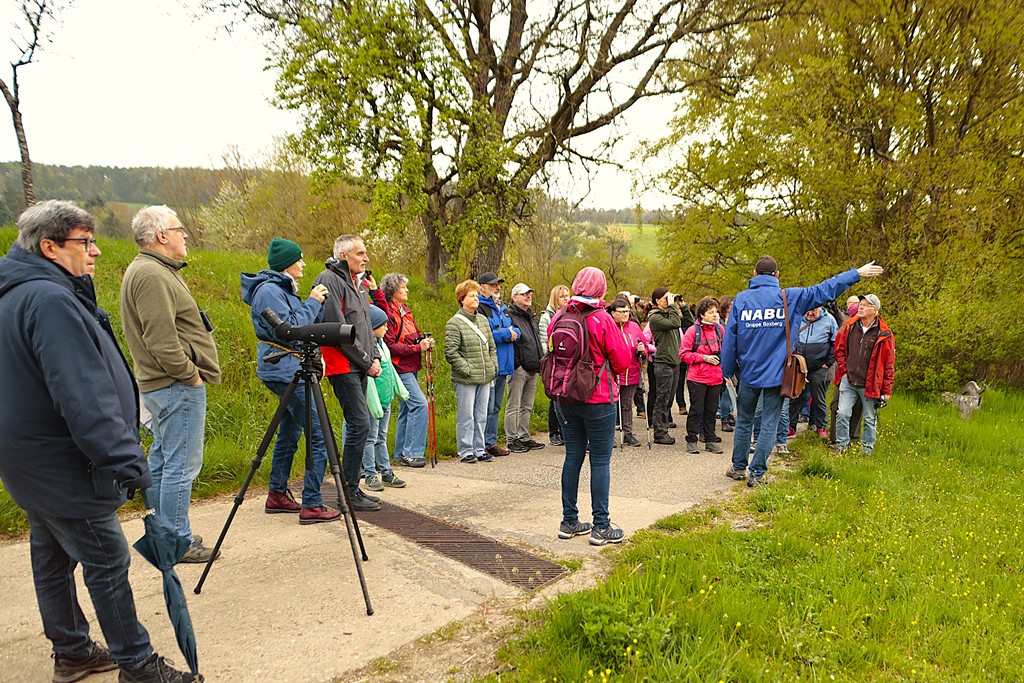 Strukturreiche Landschaften bieten zahlreichen Vogelarten einen Lebensraum.
