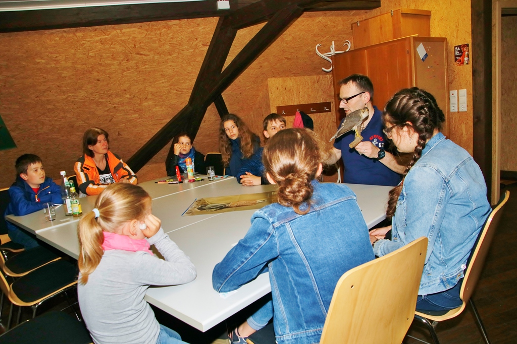 Eine kurze Exkursion in den Turm des Frankendomes bot Abwechslung am regnerischen Nachmittag. Dort sahen sich die Kinder eine Turmfalkenbrut an.