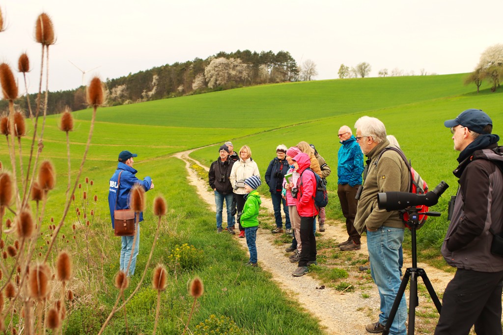 Brachflächen bieten u.a. für die Feldlerche wichtige Brutplätze.