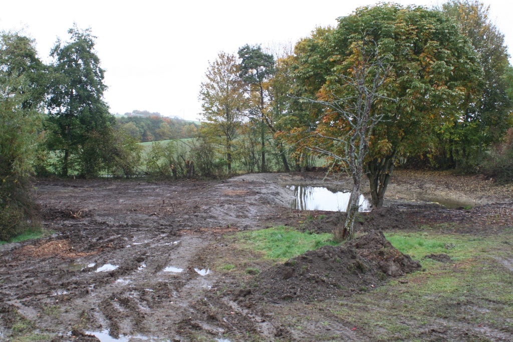 Das Übersichtsfoto nach der Pfege - Bezugspunkt ist der dürre Baum.