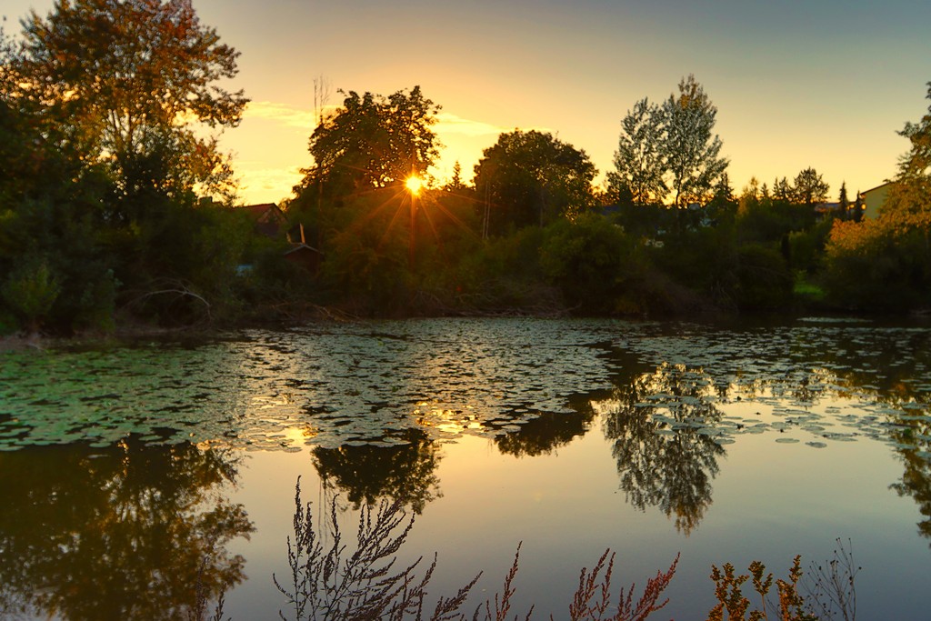 Momentaufnahme bei der Batnight 2025 im Boxberger Stadtgarten. Foto: Wilfried Keller