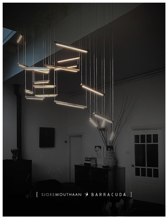 Lamp. Barracuda