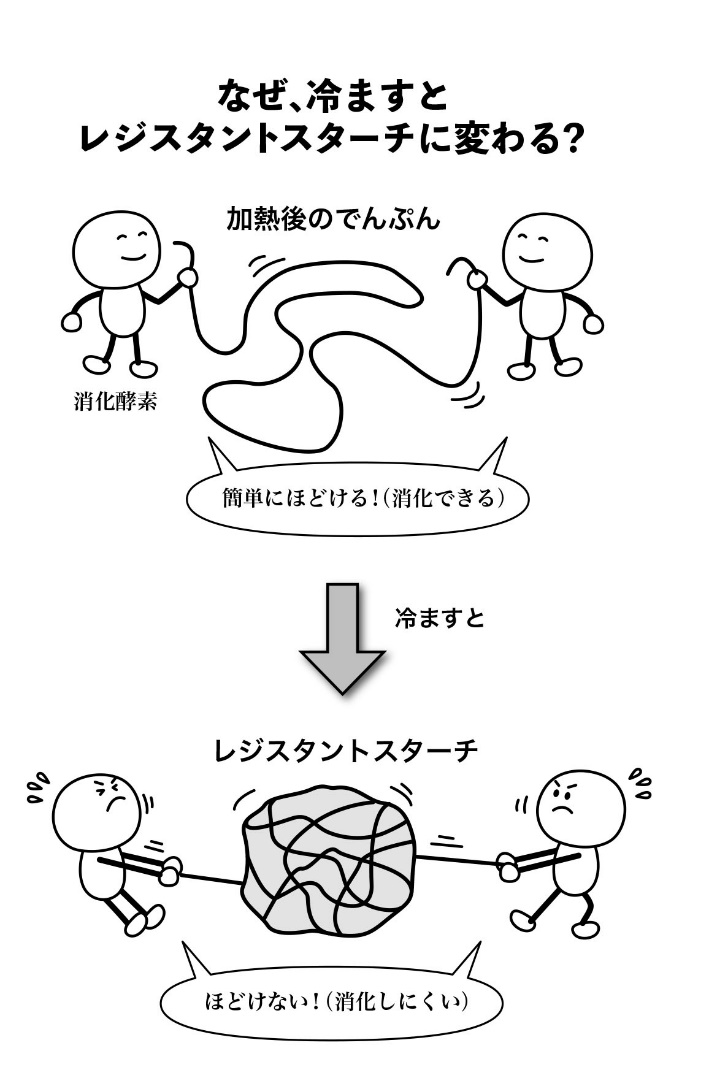 【レジスタントスターチ】炭水化物を冷やすと痩せる？