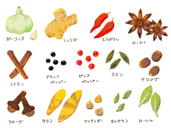 そもそもカルダモンって何ですか？