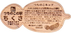 規格外きっぷ - 道の旅コレクション【豊葦原見聞録〈別館〉】