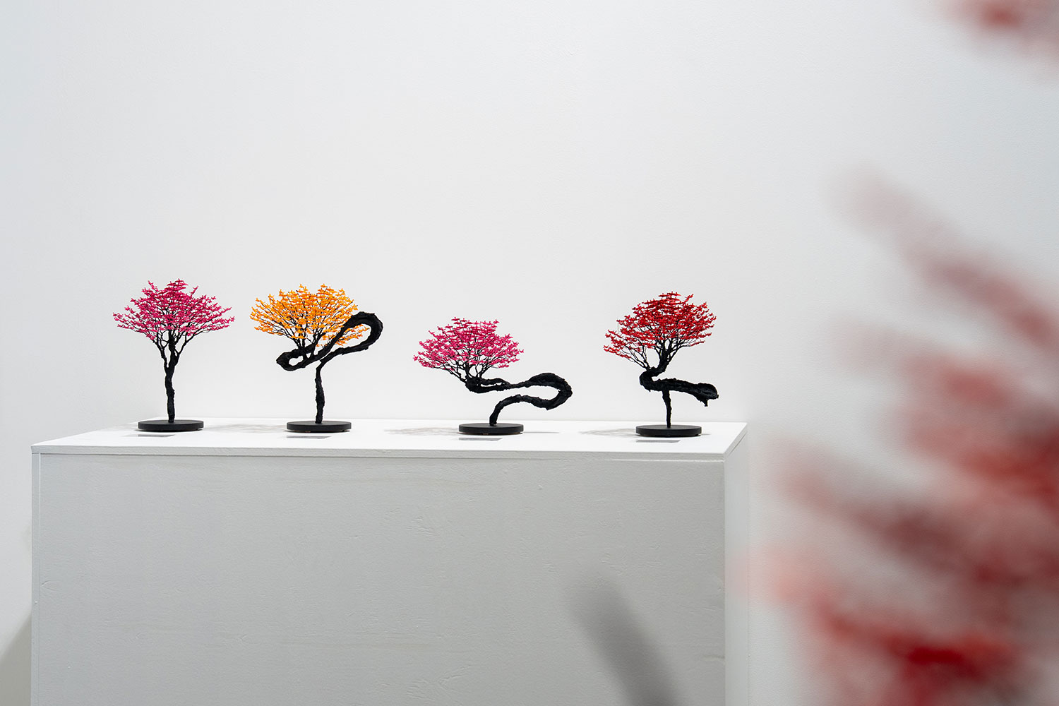 Onogawa Naoki Exhibition