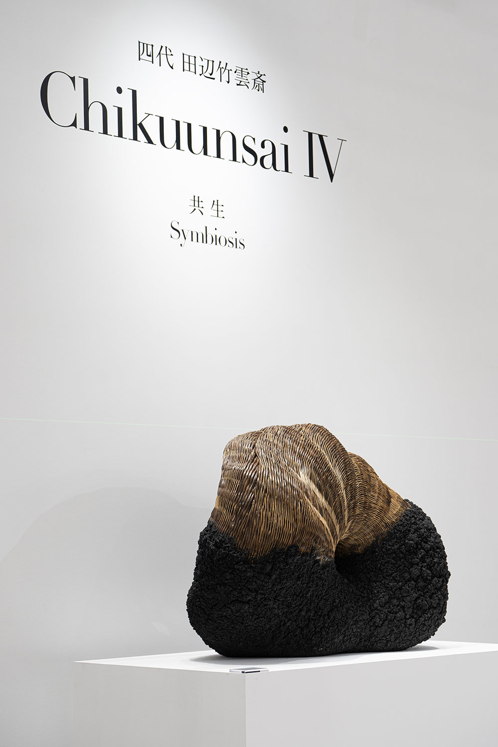 TANABE CHIKUUNSAI Ⅳ / West Bund Art & Design 2025