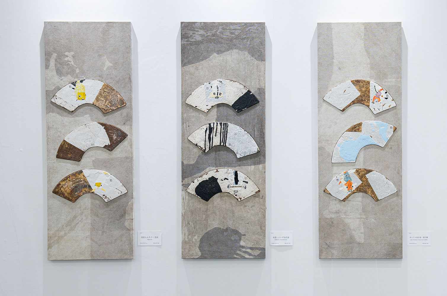 羽衣らんちう・パンダ出目金・キャリコ出目金 / 藤井蓮