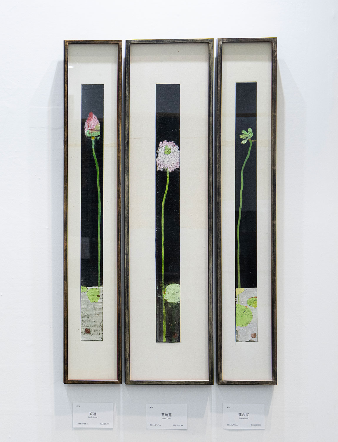 姫蓮・茶碗蓮・蓮の実 / 藤井勘圿