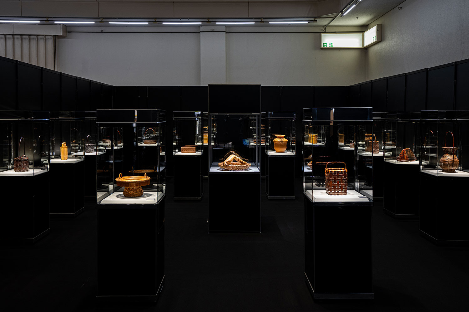 Iizuka Rokansai Exhibition