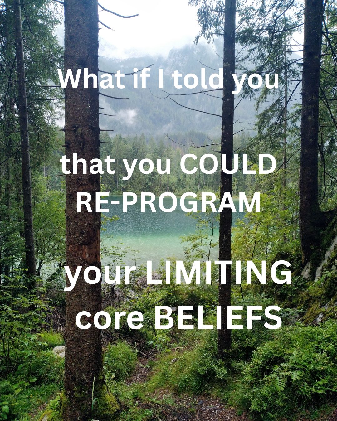 What if I told you... / Stell Dir mal vor (Video)