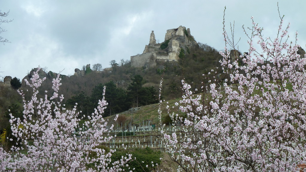 Dürnstein wo König Löwenherz eingesperrt wurde